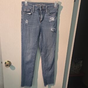 Universal Thread Blue Skinny Jeans